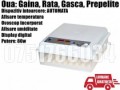 incubator-clocitoare-64-oua-gaina-rata-gasca-prepelite-pui-small-0