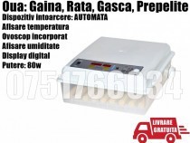 incubator-clocitoare-64-oua-gaina-rata-gasca-prepelite-pui-big-0