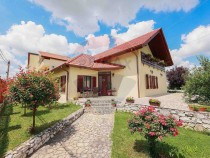 casa-cu-obloane-din-sanmartin-este-de-vanzare