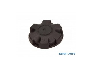 Buson vas expansiune BMW Seria 3 2005- E90 04108