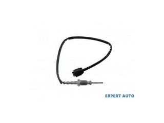 Senzor temperatura gaze dpf BMW Seria 5 2001-2010 E60 13...