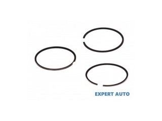 Set segmenti Citroen Berlingo 1996-2002 08-321507-00