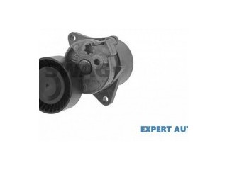 Intinzator curea Mercedes C-Class 2000-2007 W203 601697