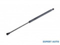 amortizor-portbagaj-hyundai-santa-fe-3-2012-dm-dma-817-small-0
