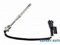 senzor-temperatura-gaze-dpf-chevrolet-captiva-2006-c10