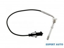 senzor-temperatura-gaze-dpf-fiat-ducato-2006-250-51900