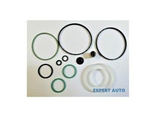 Set garnituri pompa injectie Mercedes Sprinter 2 2006- ...