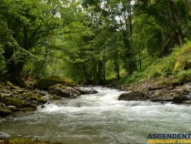 film-prezentare-teren-cu-puz-pentru-case-de-vacanta-loturi