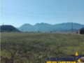 20000-mp-teren-extravilan-zona-industriala-brasov-small-0