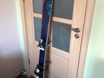schiuri-rossignol-13284120