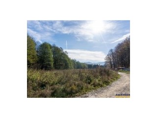 Oaza de liniste, in mijlocul naturii, Vladeni, Brasov