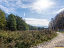 oaza-de-liniste-in-mijlocul-naturii-vladeni-brasov