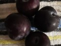 palinca-prune-si-mere-small-0