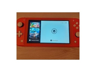 Nintendo switch lite