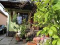 casa-in-zona-linistita-small-0