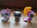 little-pet-shop-speciali-small-0