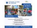 afacere-la-cheie-de-vanzare-in-saraiu-small-4